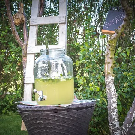 Gasthuis Casa Eden Costinesti